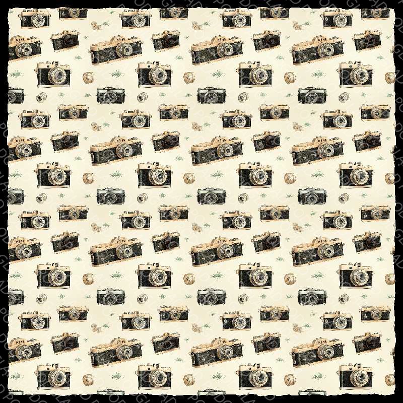 Vintage Camera